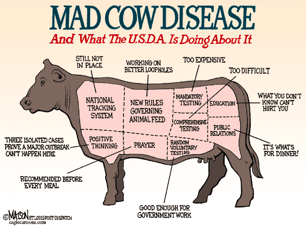 Labeled Cow