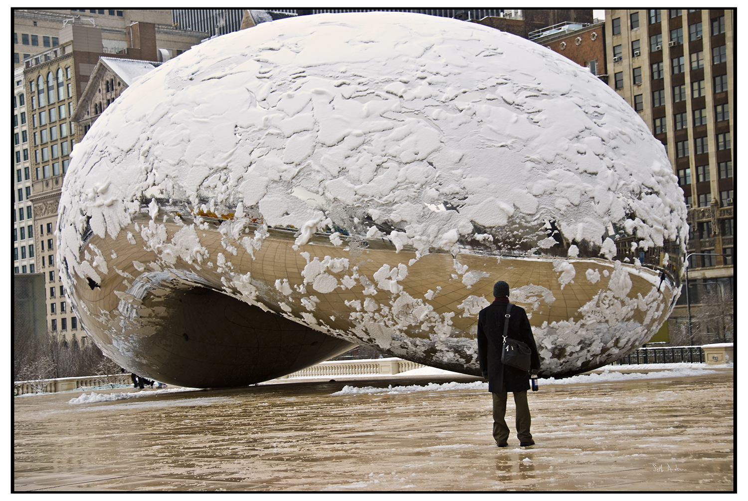 Contemplation Of The Winter Bean 